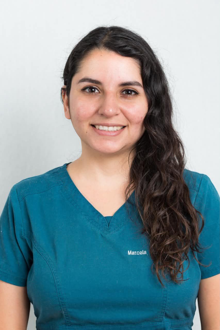 Dra. Marcela Flores — Endodoncia en Clínica ELODental